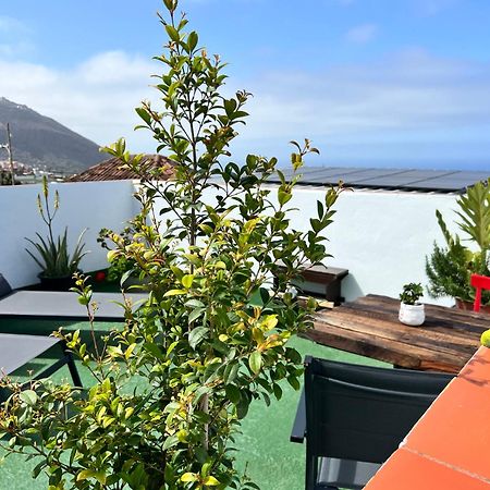 The Little Brezo Stone Home Tenerife 洛斯雷尔雷赫斯 外观 照片