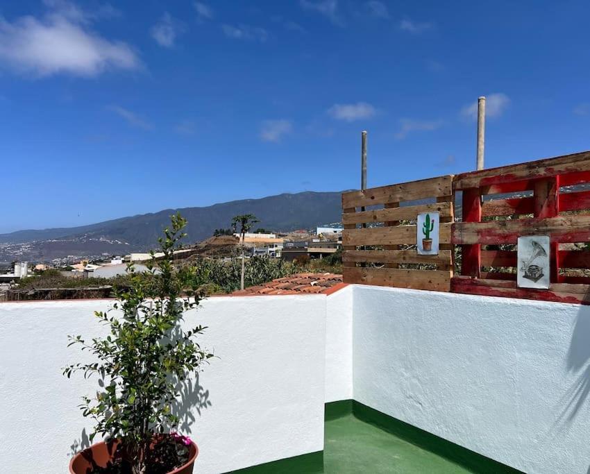 The Little Brezo Stone Home Tenerife 洛斯雷尔雷赫斯 外观 照片