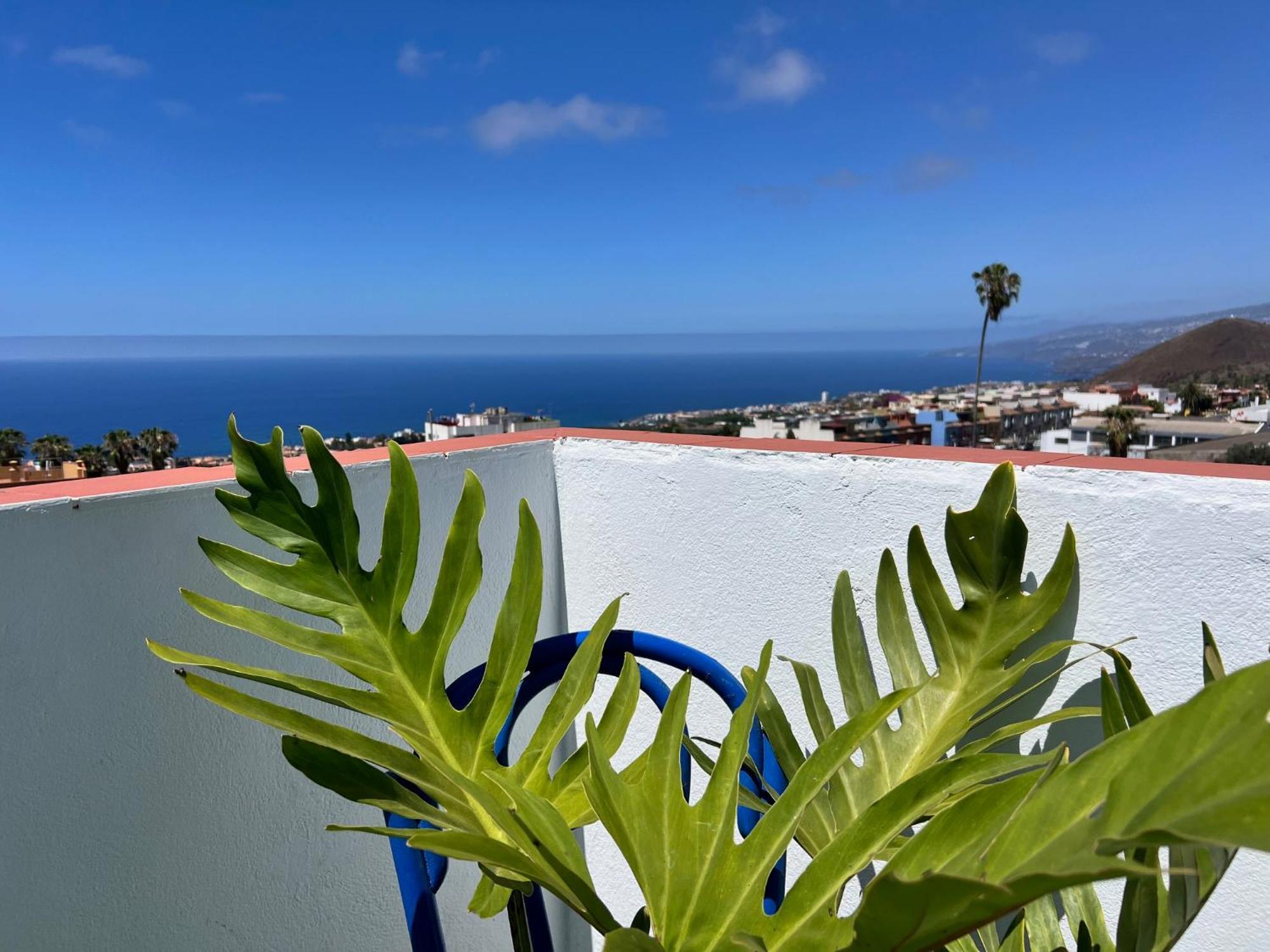 The Little Brezo Stone Home Tenerife 洛斯雷尔雷赫斯 外观 照片