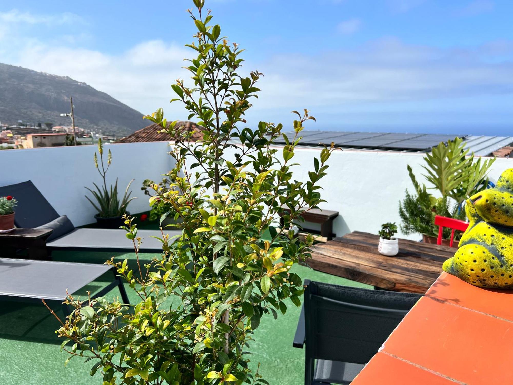 The Little Brezo Stone Home Tenerife 洛斯雷尔雷赫斯 外观 照片